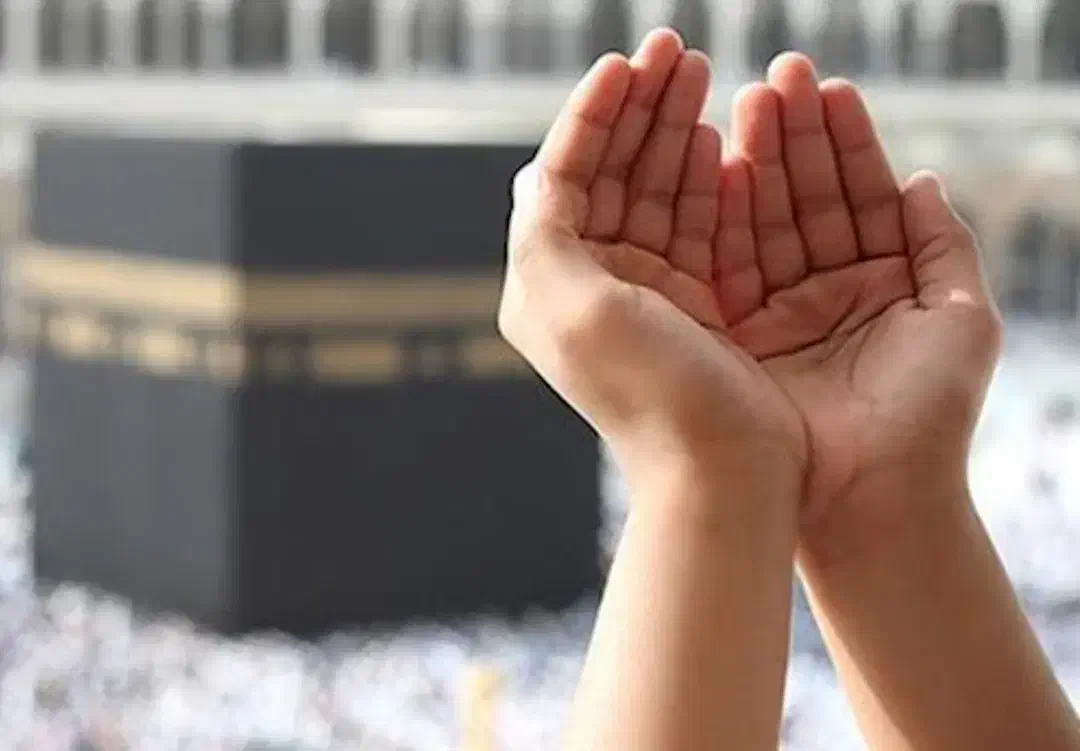 دو عدد فیش حج تمتع بهمن۱۳۸۶|تور و چارتر|اردبیل, |دیوار