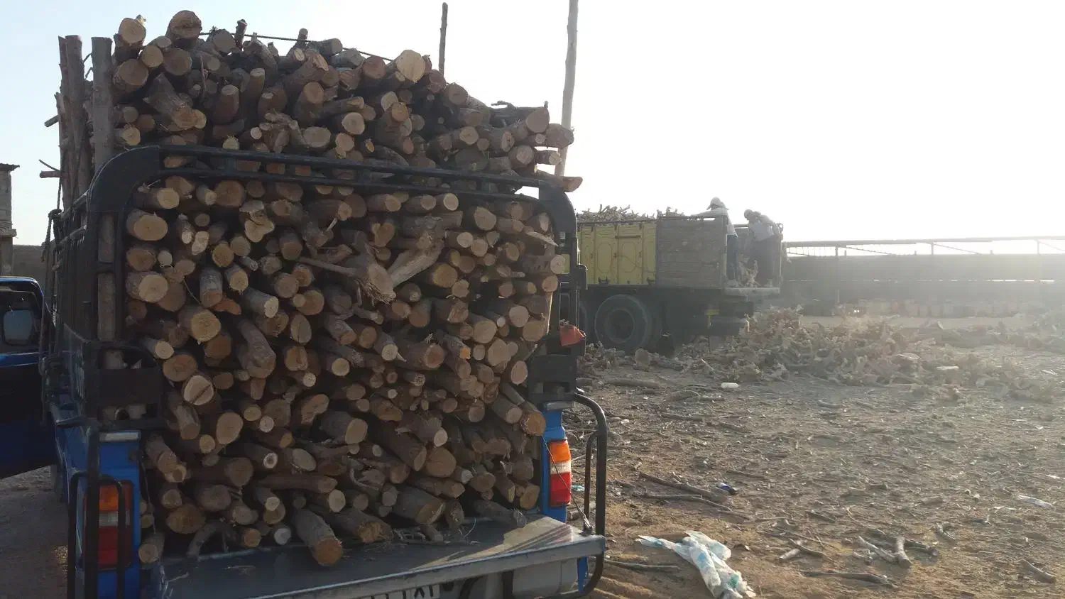 خرید انواع چوب|خدمات باغبانی و درختکاری|جهرم, |دیوار