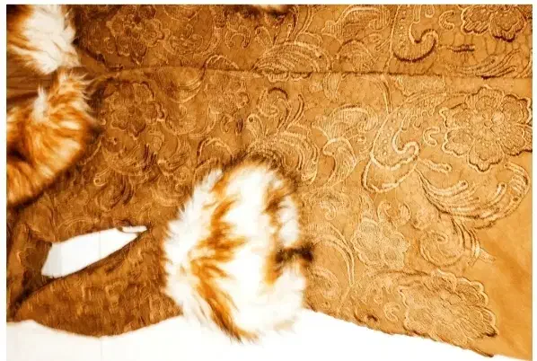 پالتو زمستانی|لباس|پرند, فاز ۵|دیوار