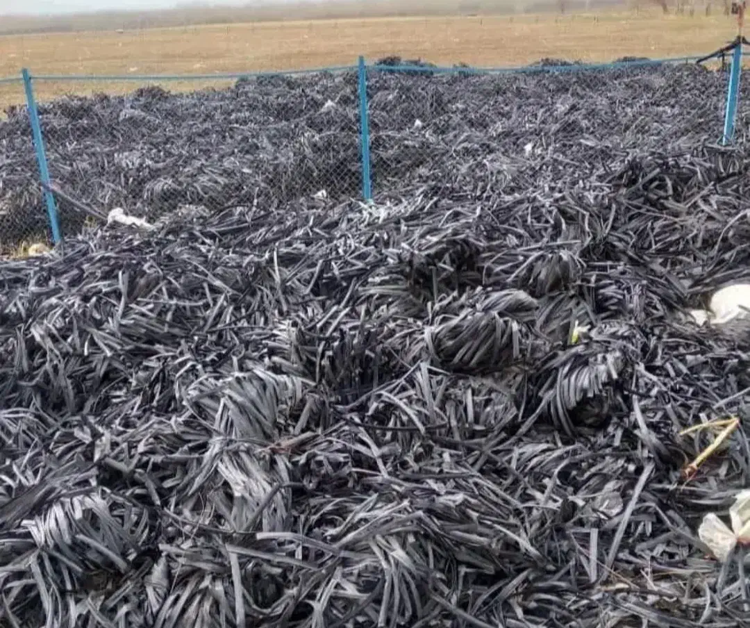 خریدار نوار تیپ|خدمات باغبانی و درختکاری|شازند, |دیوار