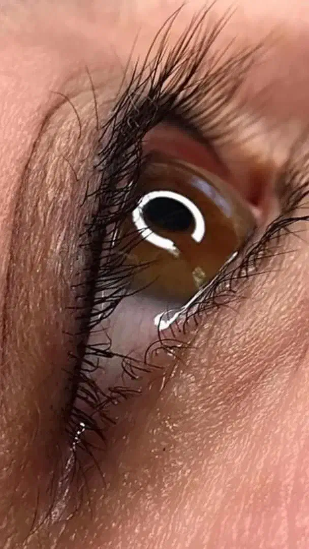 خط چشم500|خدمات آرایشگری و زیبایی|رفسنجان, |دیوار