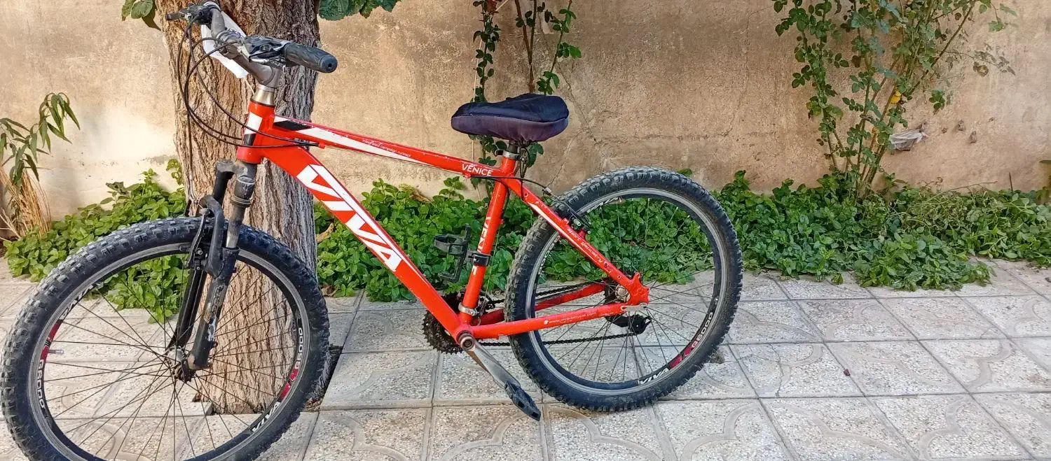 دوچرخه۲۶|دوچرخه، اسکیت، اسکوتر|تربتحیدریه, مسجد جامع|دیوار