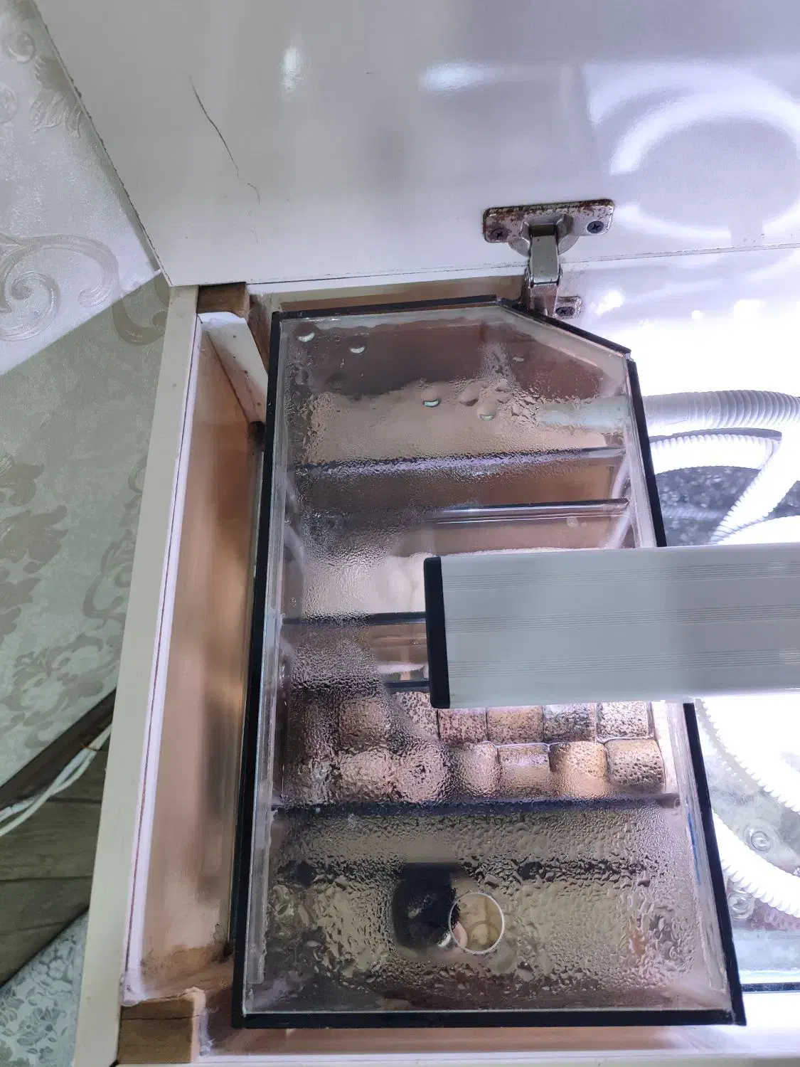 آکواریوم زیبا فلاور|ماهی|اسلامآباد غرب, |دیوار