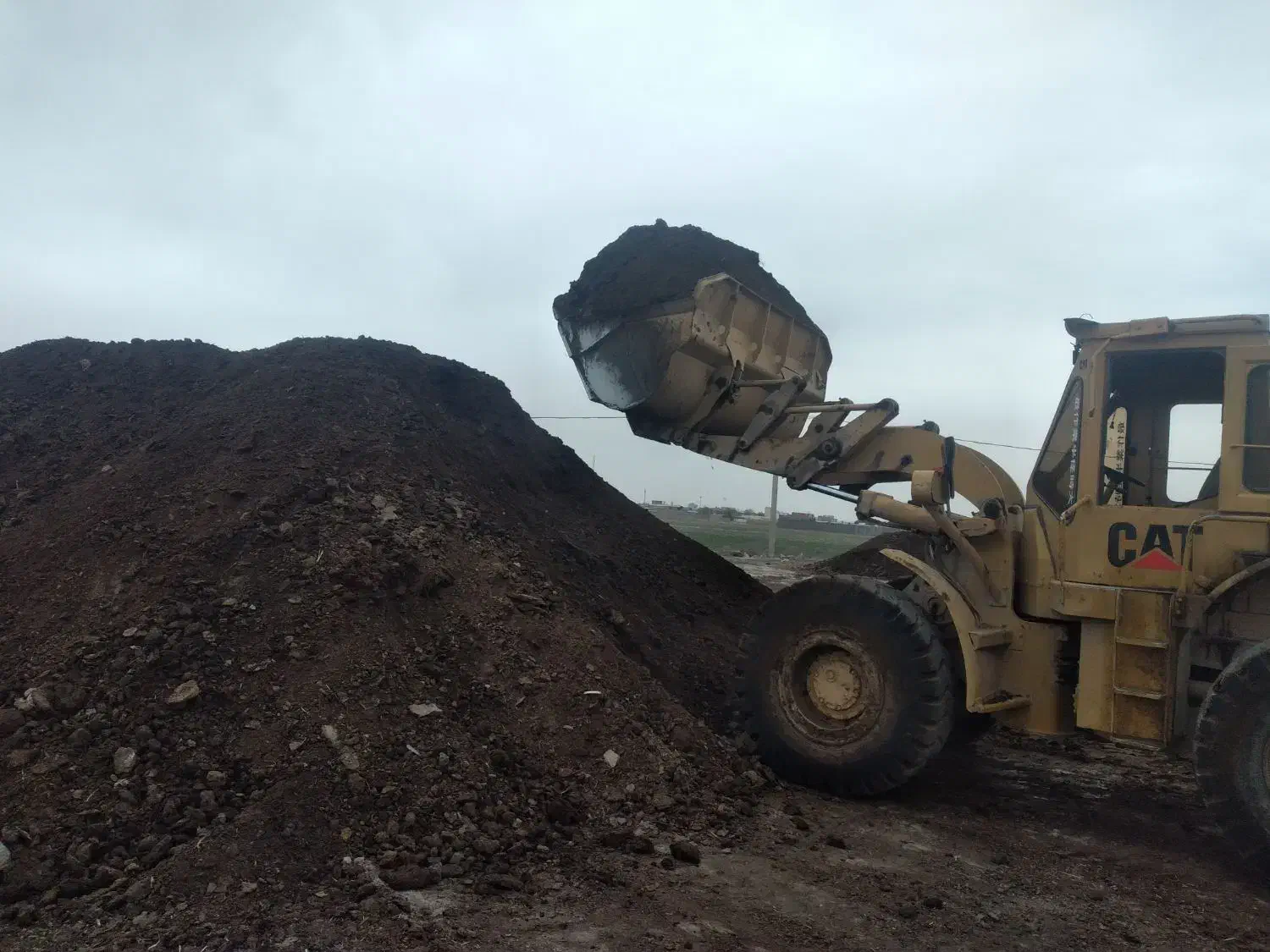 خرید و فروش کود حیوانی|خدمات باغبانی و درختکاری|نظرآباد, نجم آباد|دیوار