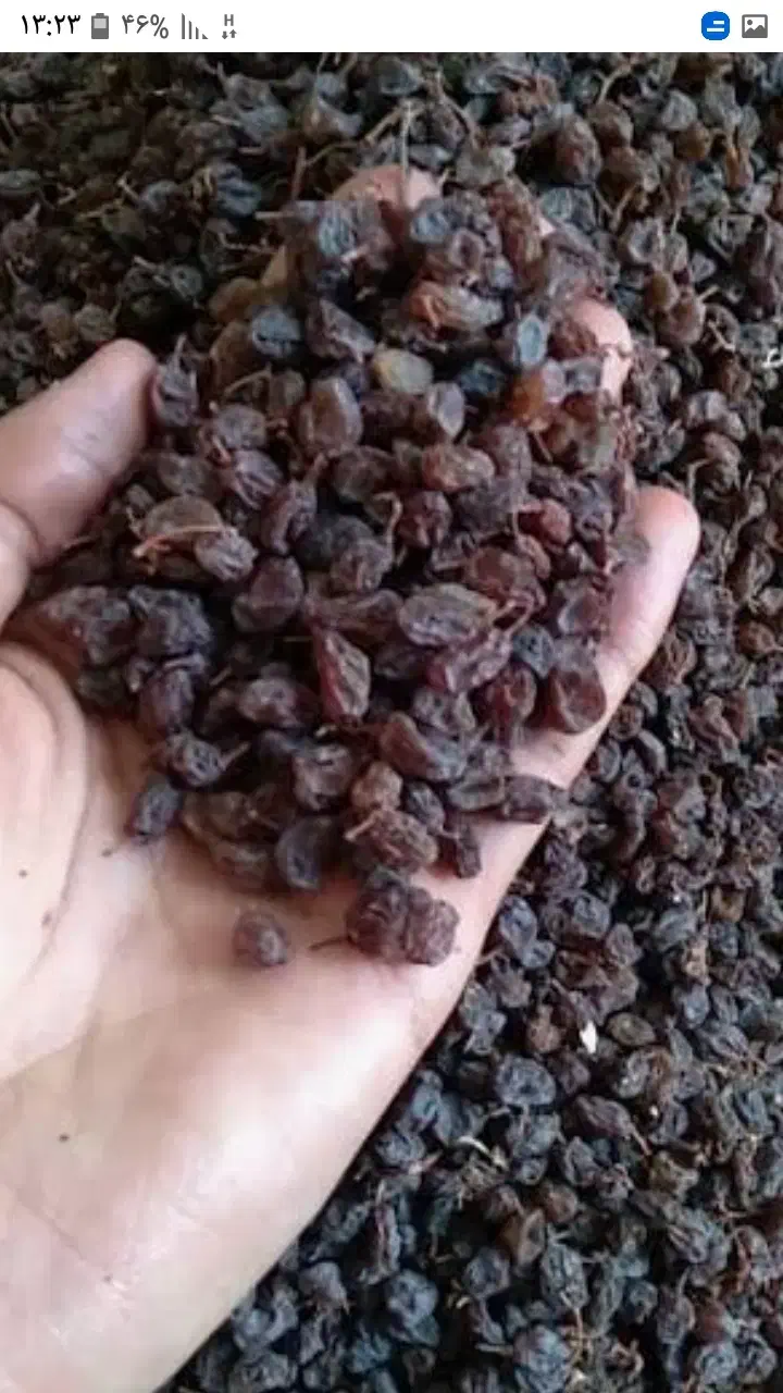 کشمش|خوردنی و آشامیدنی|بهارستان, |دیوار