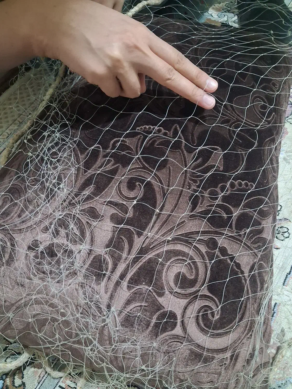 تور ماهیگیری|ماهیگیری|خرمآباد, |دیوار