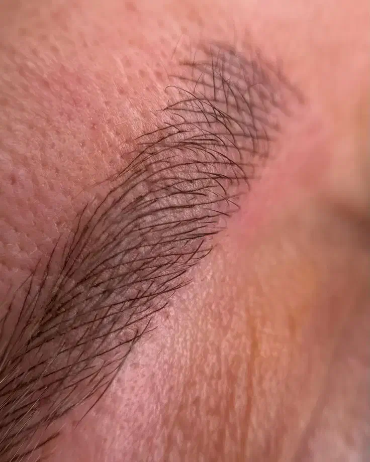 مدل رایگان فیبروز ابرو (میکروبلیدینگ)|خدمات آرایشگری و زیبایی|کرمان, |دیوار