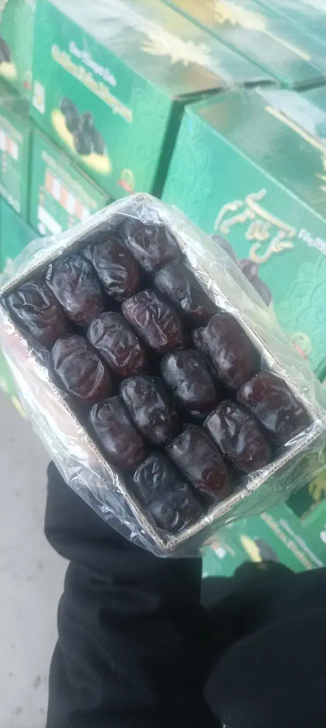 خرما مضافتی|خوردنی و آشامیدنی|بم, |دیوار