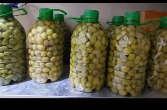 زیتون|عمدهفروشی|صدرا-فارس, فاز ۱|دیوار