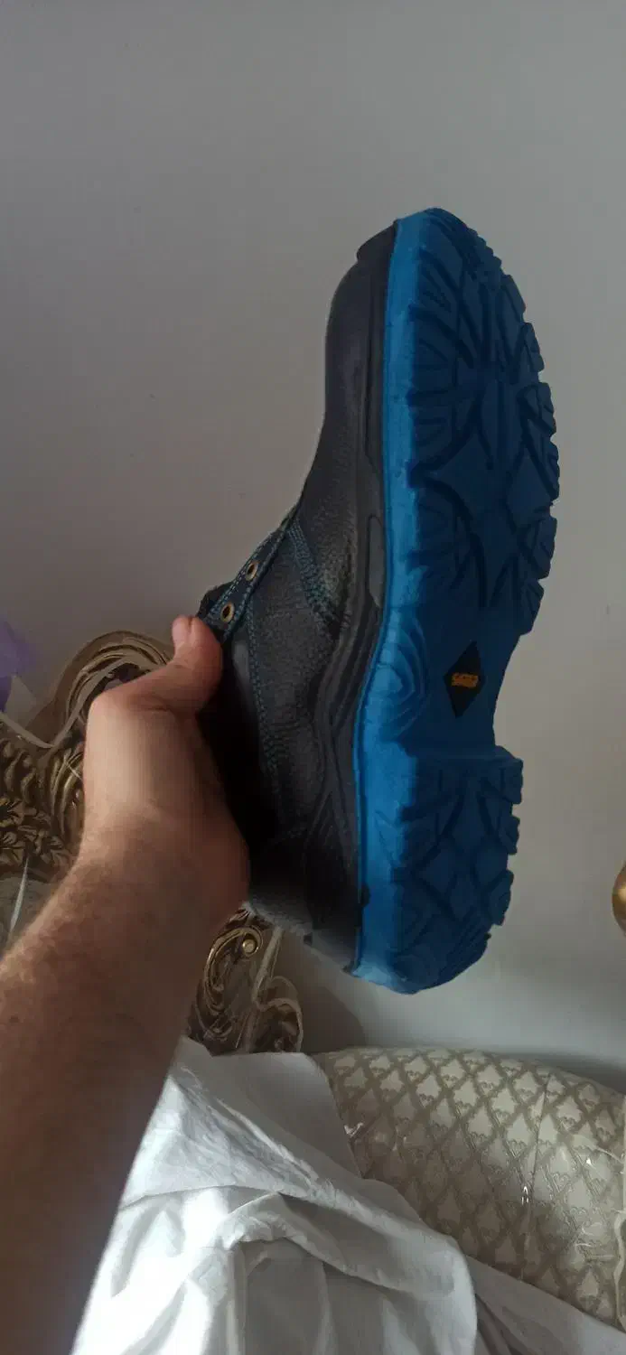 کفش کار|کیف، کفش، کمربند|نیشابور, گمنام غربی|دیوار