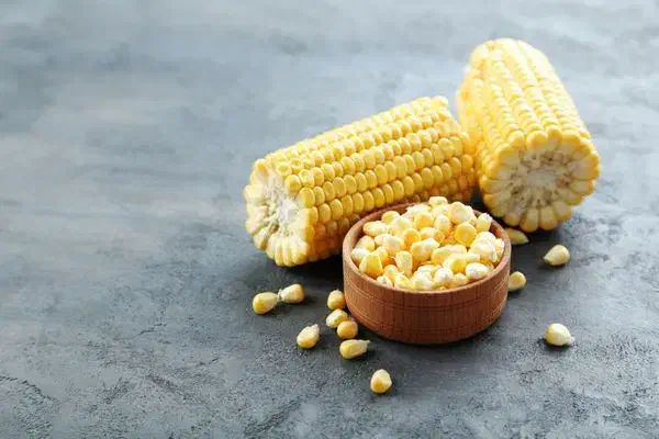 نهاده های دامی و کشاورزی|فعالیت داوطلبانه|تربت جام, معدآباد|دیوار