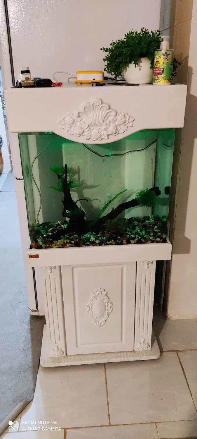 اکواریوم|ماهی|هشتگرد, شهرک ایران خودرو|دیوار