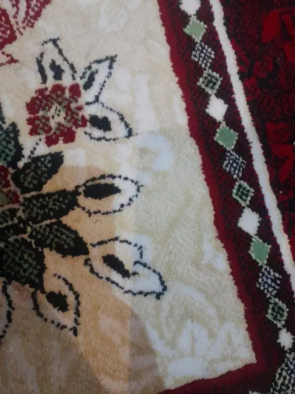 فروش نخ درجه یک هریس سالاری باتمام مصالح نه متری|فرش|مشگین شهر, |دیوار