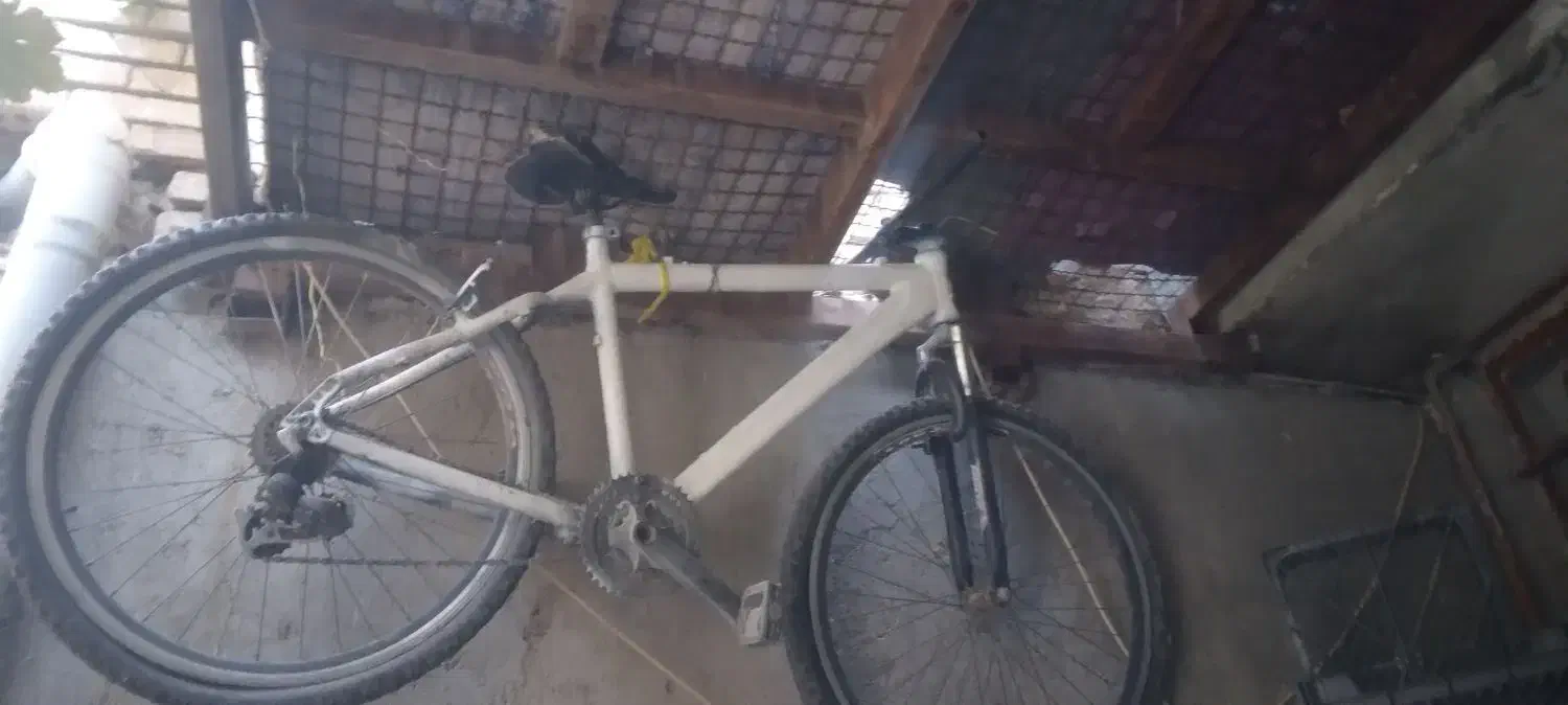 دوچرخه|دوچرخه، اسکیت، اسکوتر|رضویه, |دیوار