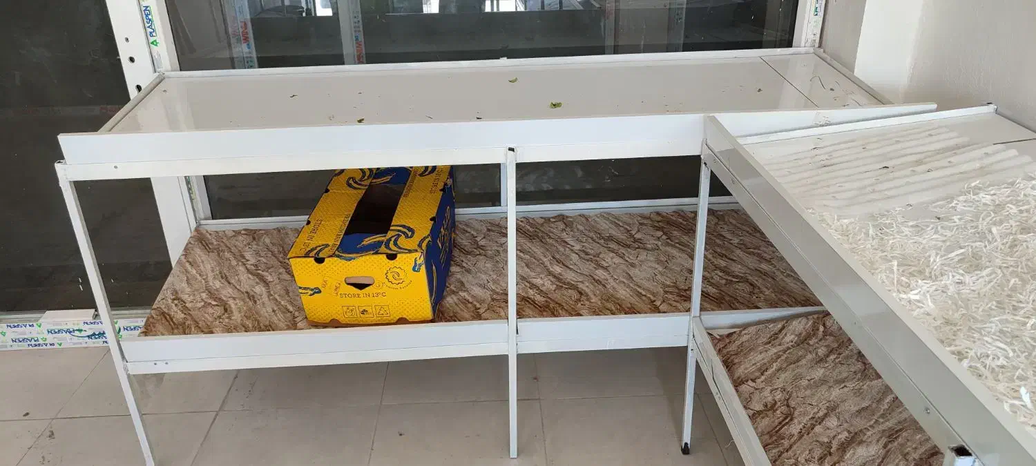 وسایل میوه فروشی|فروشگاه و مغازه|خمیر, |دیوار