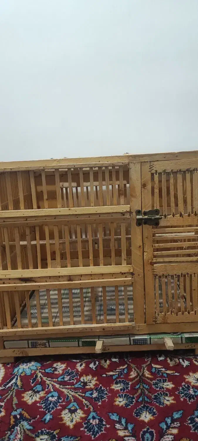 قفس چوبی|لوازم جانبی حیوانات|اهواز, زرگان|دیوار