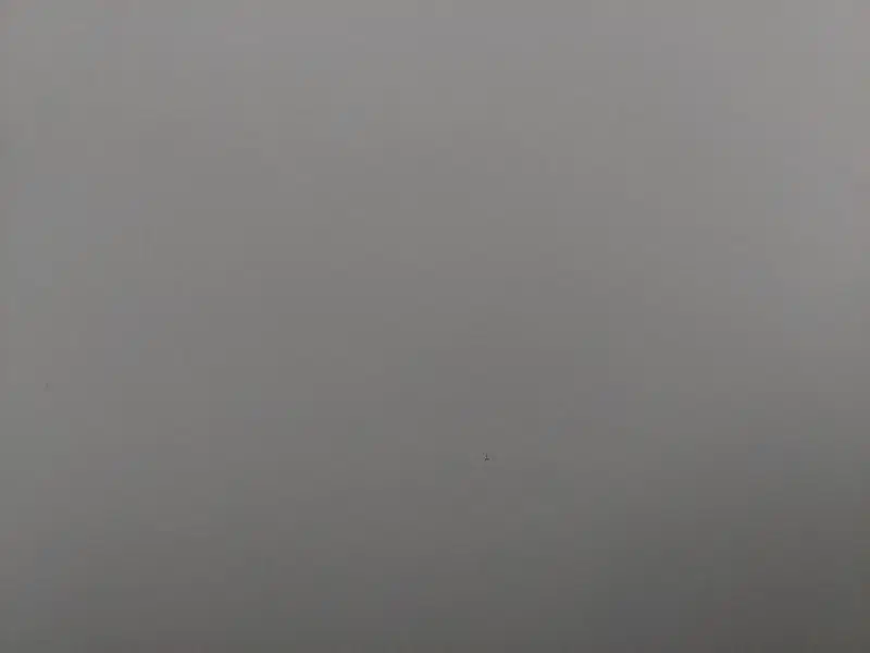 سیمکارت دائمی ۵۶۳ رند، زیر قیمت|سیم‌کارت|بیرجند, |دیوار