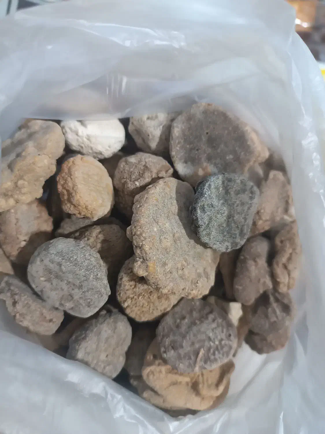 کشک بیرجندی|خوردنی و آشامیدنی|مشهد, خواجه ربیع|دیوار