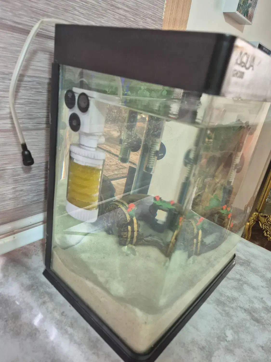 آکواریوم|ماهی|پاکدشت, پاکدشت (مامازند)|دیوار