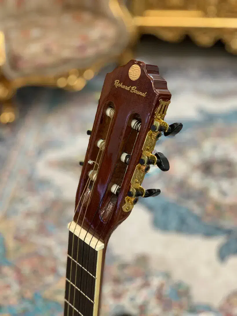 گیتار ریچارد بونل|گیتار، بیس، امپلیفایر|شهریار, کهنز|دیوار