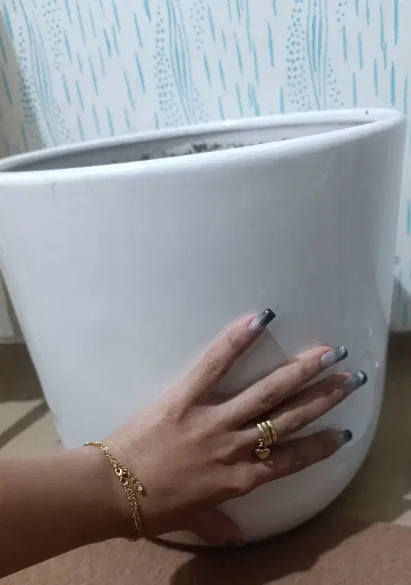 گلدان بزرگ سرامیکی|گل و گیاه طبیعی|مشهد, چهارچشمه|دیوار