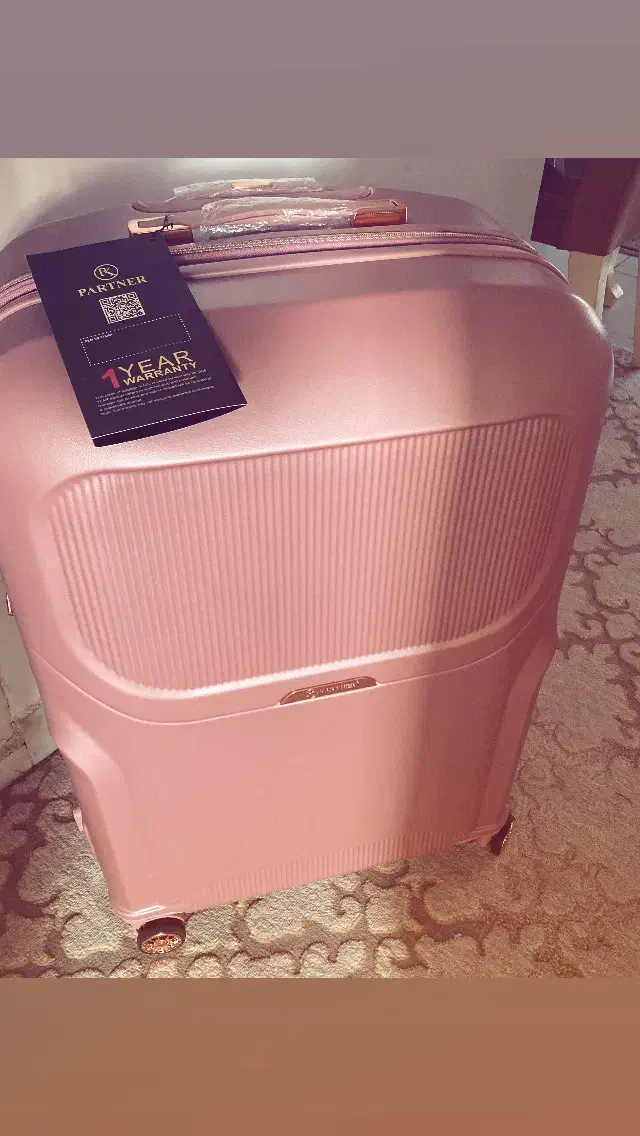 چمدون|کیف، کفش، کمربند|رشت, فلسطین|دیوار