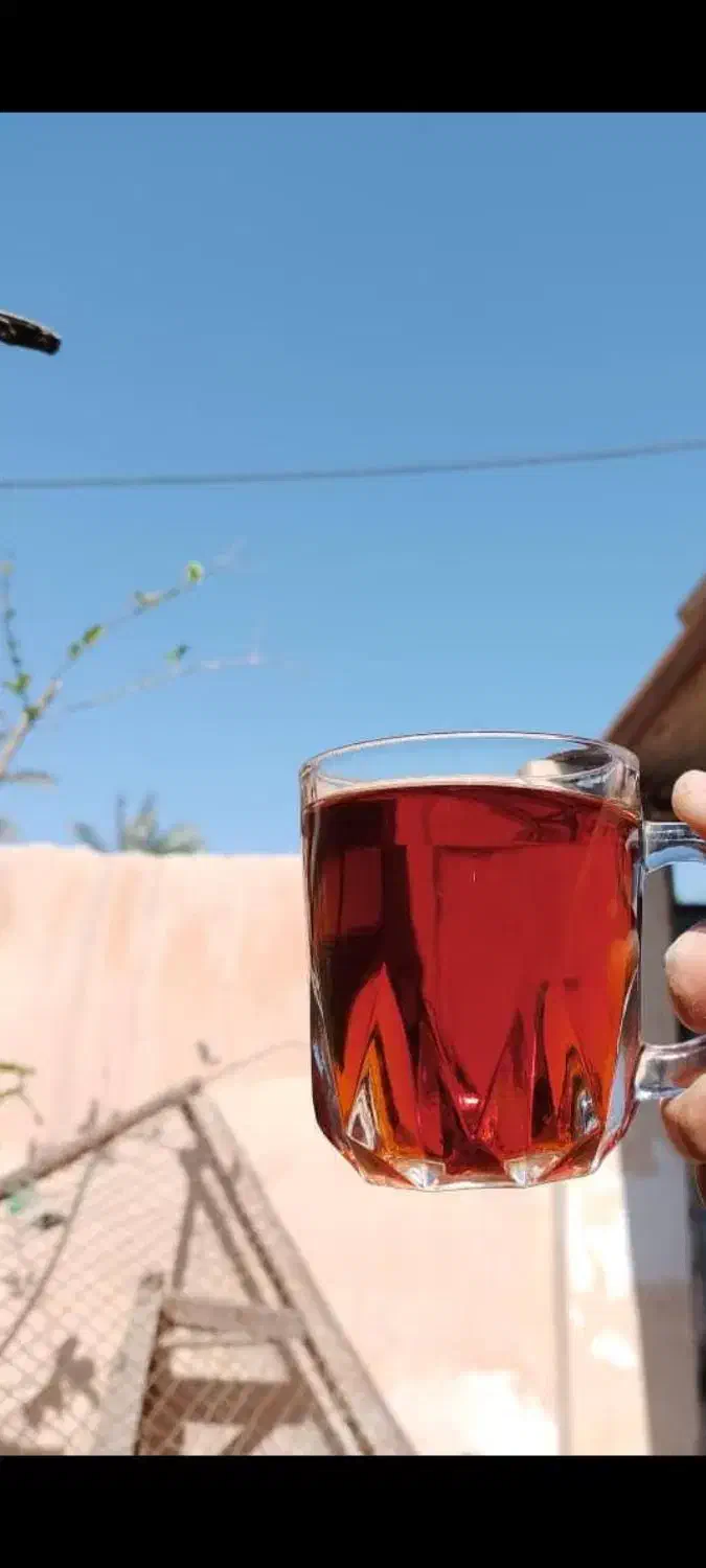 چای باروتی|خوردنی و آشامیدنی|دهلران, |دیوار