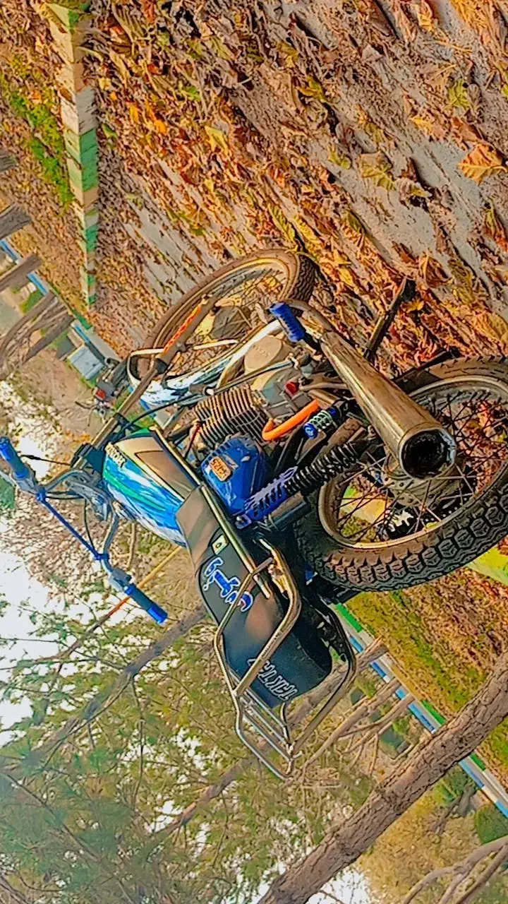 متور سیکلت مزایده ۲۵۰|موتورسیکلت|بناب, |دیوار