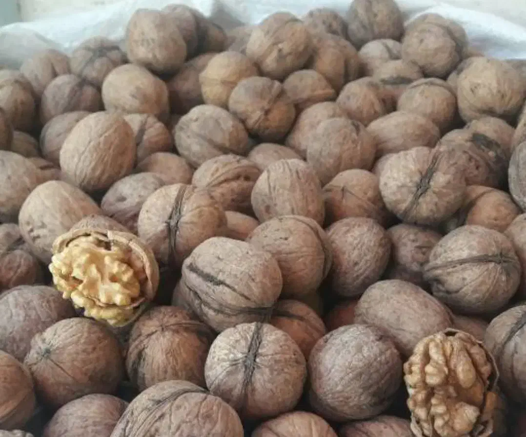 گردو|خوردنی و آشامیدنی|تهران, بوستان سرخه حصار|دیوار