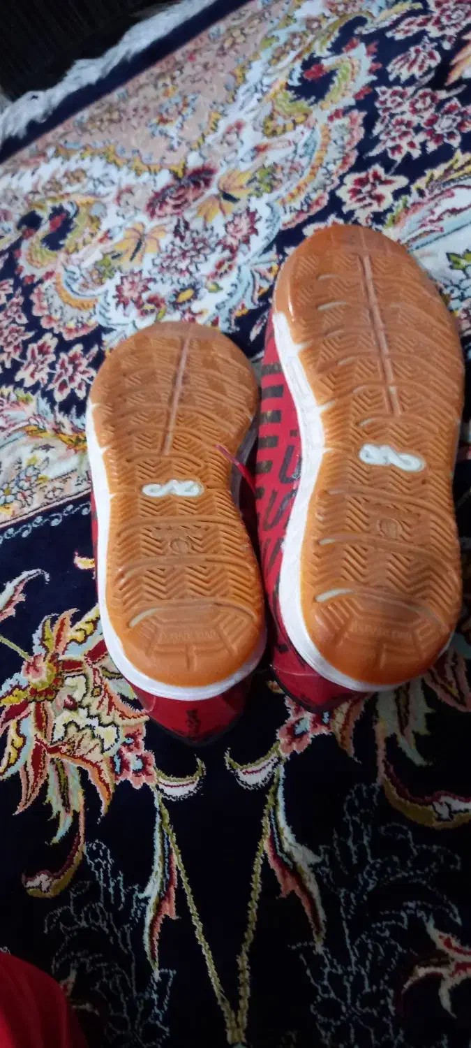 کفش سالن سایز ۴۴|کیف، کفش، کمربند|گلبهار, شهر جدید گلبهار|دیوار