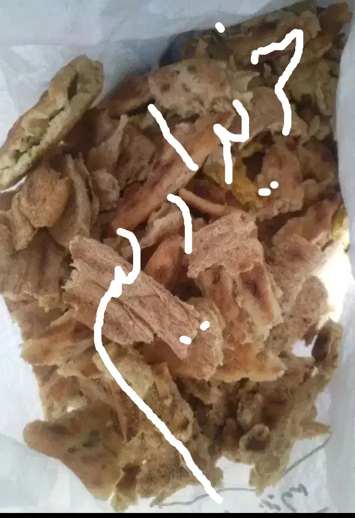 نان خشک تمیز|لوازم جانبی حیوانات|مشهد, نوید|دیوار