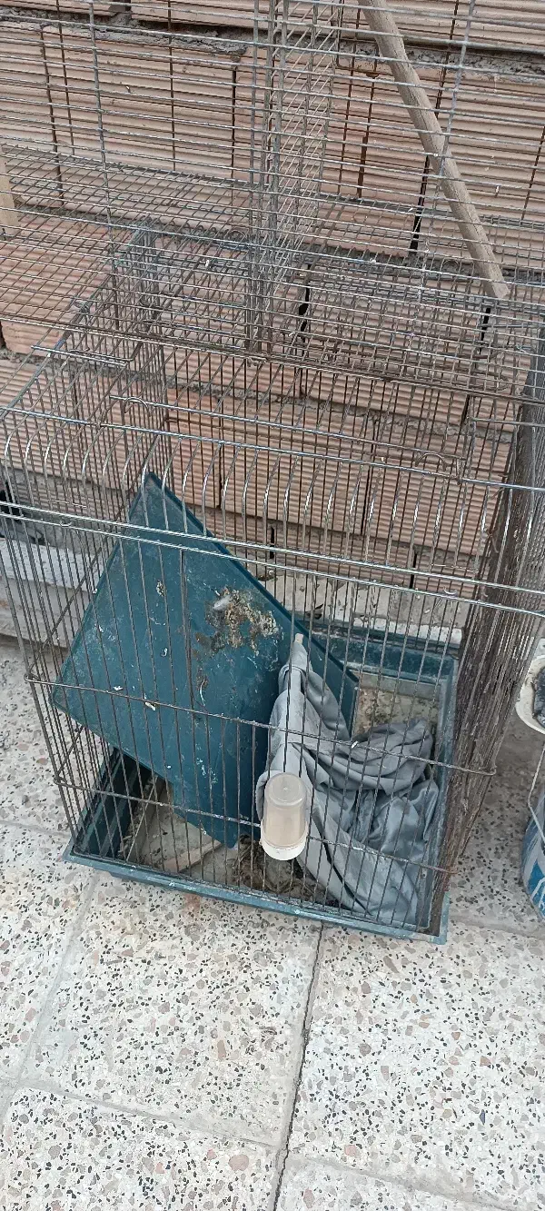 قفس هشت خان با لونه و هشت خان بازاری و قفس1033|لوازم جانبی حیوانات|اسلام‌شهر, شهرک امام حسین (میان آباد)|دیوار