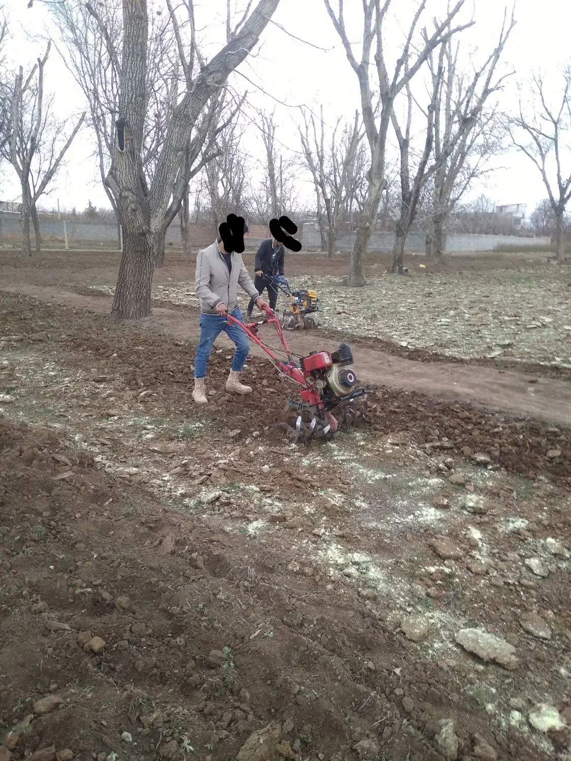 خدمات کشاورزی ابراهیمی|خدمات باغبانی و درختکاری|آذرشهر, |دیوار