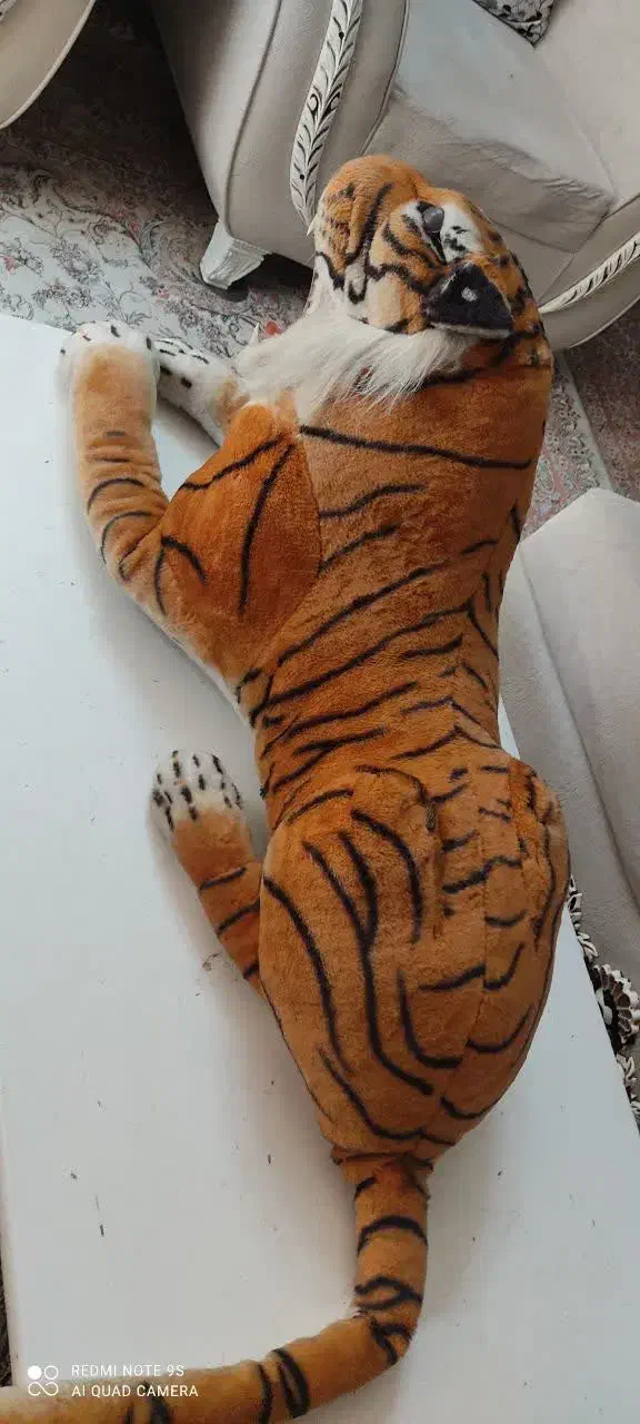 عروسک|اسباب‌‌بازی|شیراز, شهرک والفجر|دیوار