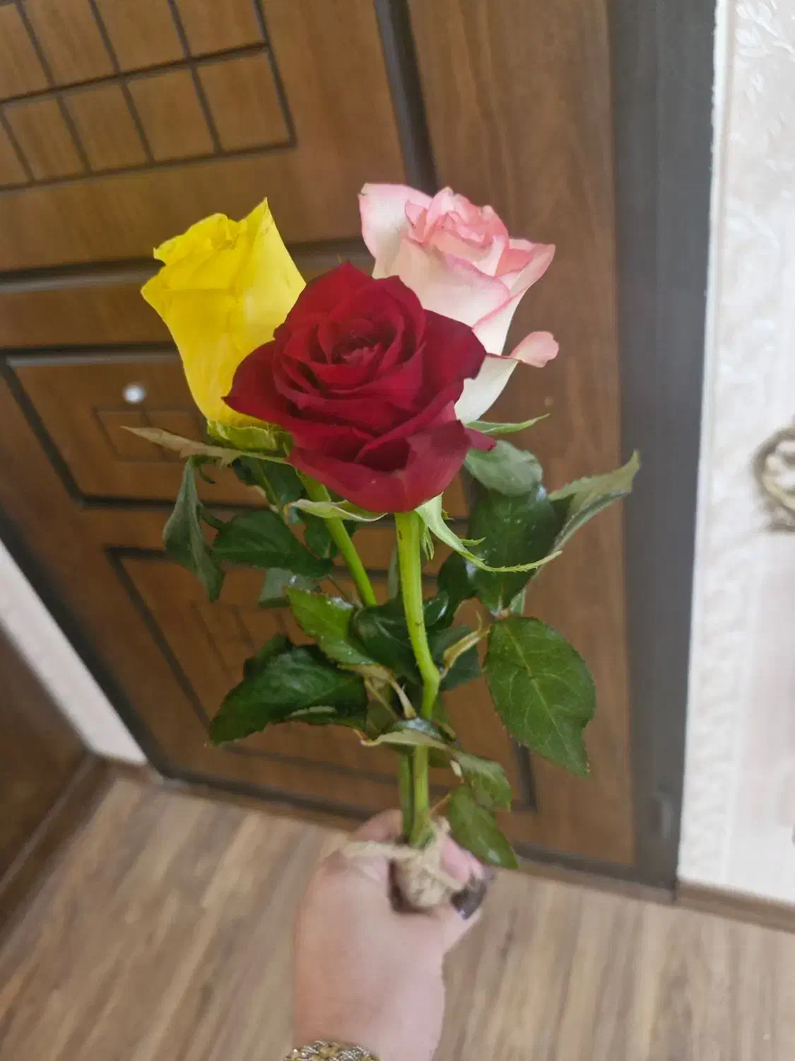 ادیت عکس|خدمات رایانهای و موبایل|تبریز, |دیوار