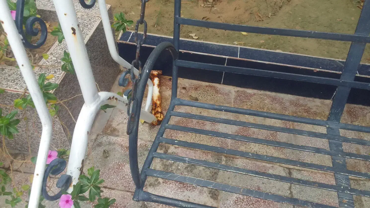 تاب|تابلو، نقاشی، عکس|بندر دیر, |دیوار