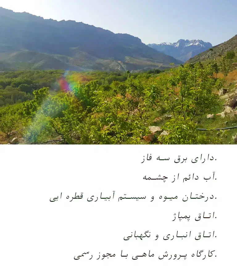 فروش زمین مساحت ۳۷ هزار متر و کارگاه پرورش ماهی|فروش دفتر صنعتی، کشاورزی، تجاری|گندمان, |دیوار