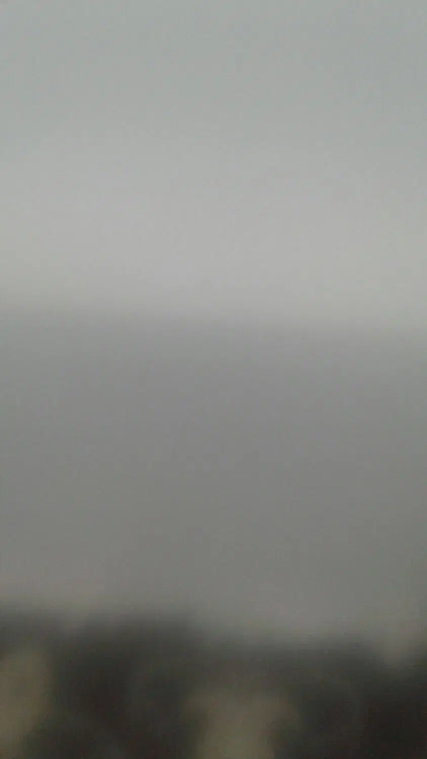 سفال گندم|عمده‌فروشی|فیروزه, |دیوار