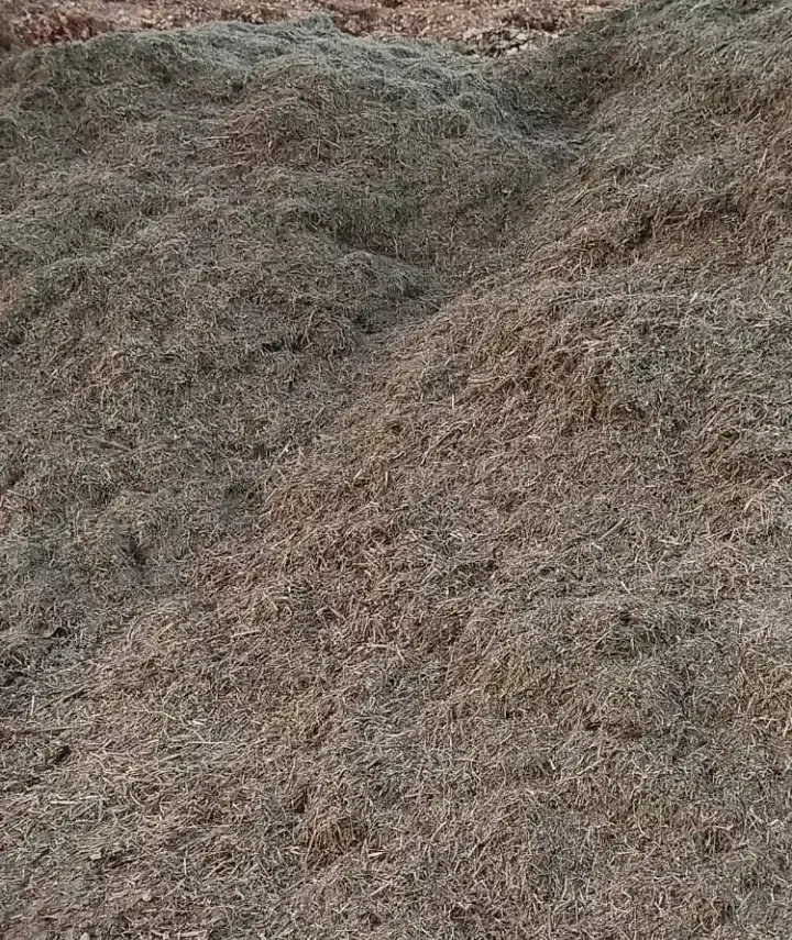 کاه ماش ۳۰ کپه سبز سبز عالی کمباینی|لوازم جانبی حیوانات|گتوند, |دیوار