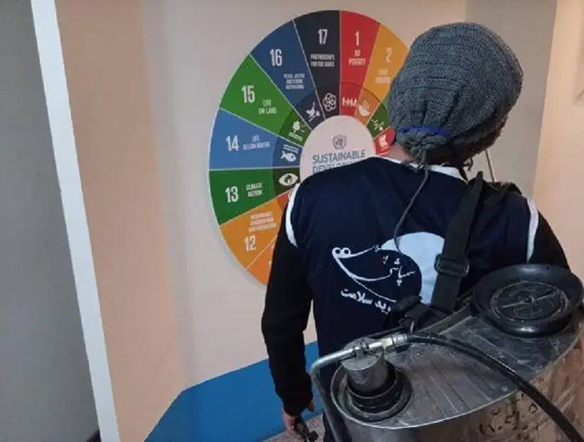 سمپاشی حشرات و جوندگان / فروش حشره کش خانگی|خدمات نظافت|کاشان, بهشتی|دیوار