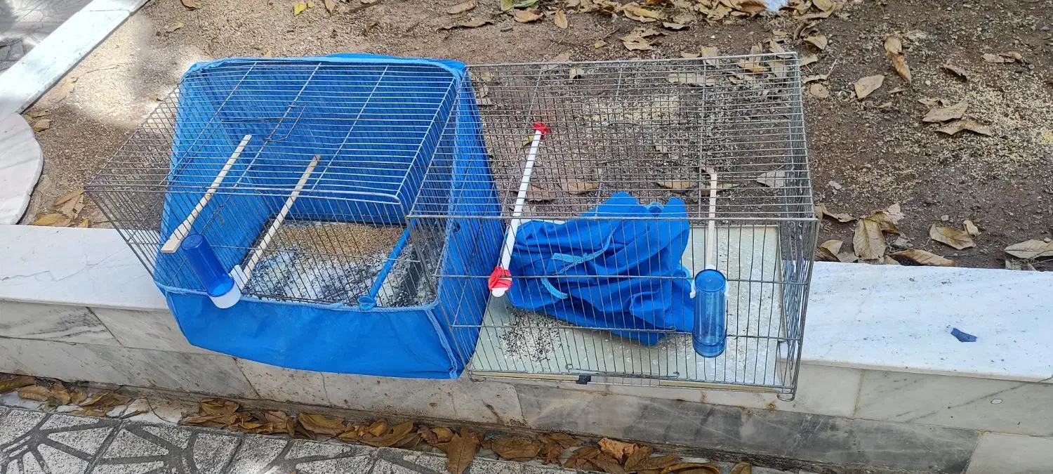 قفس پرنده سایز بزرگ بالوازم ۲۴۰|لوازم جانبی حیوانات|زنجان, |دیوار