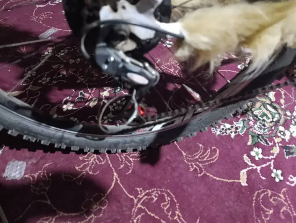 دوچرخه 26|دوچرخه، اسکیت، اسکوتر|خرمشهر, |دیوار