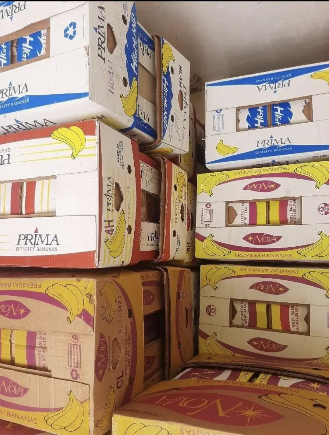 کارتن موزی تمیز نو|عمده‌فروشی|اسلامیه, |دیوار