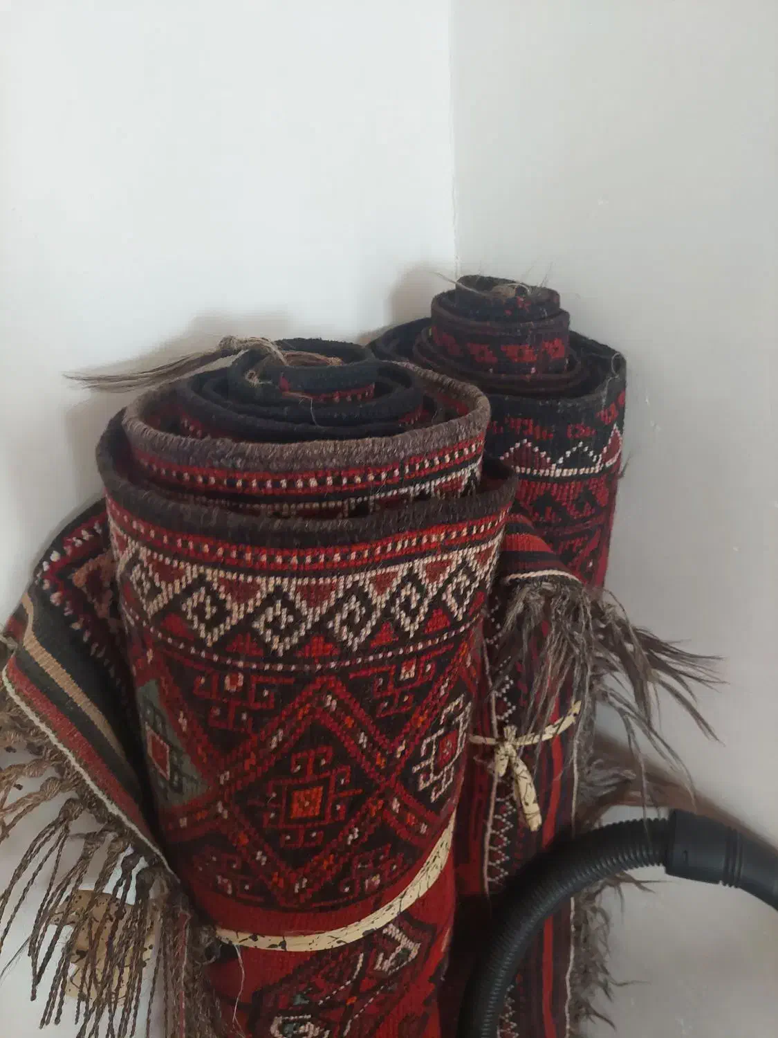 فرش دست باف|فرش|بجنورد, |دیوار