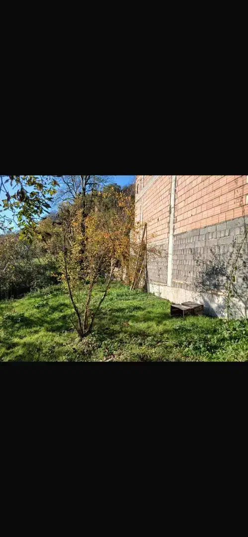 فروش زمین ییلاقی با ویو دار|فروش زمین و ملک کلنگی|پایین هولار, |دیوار