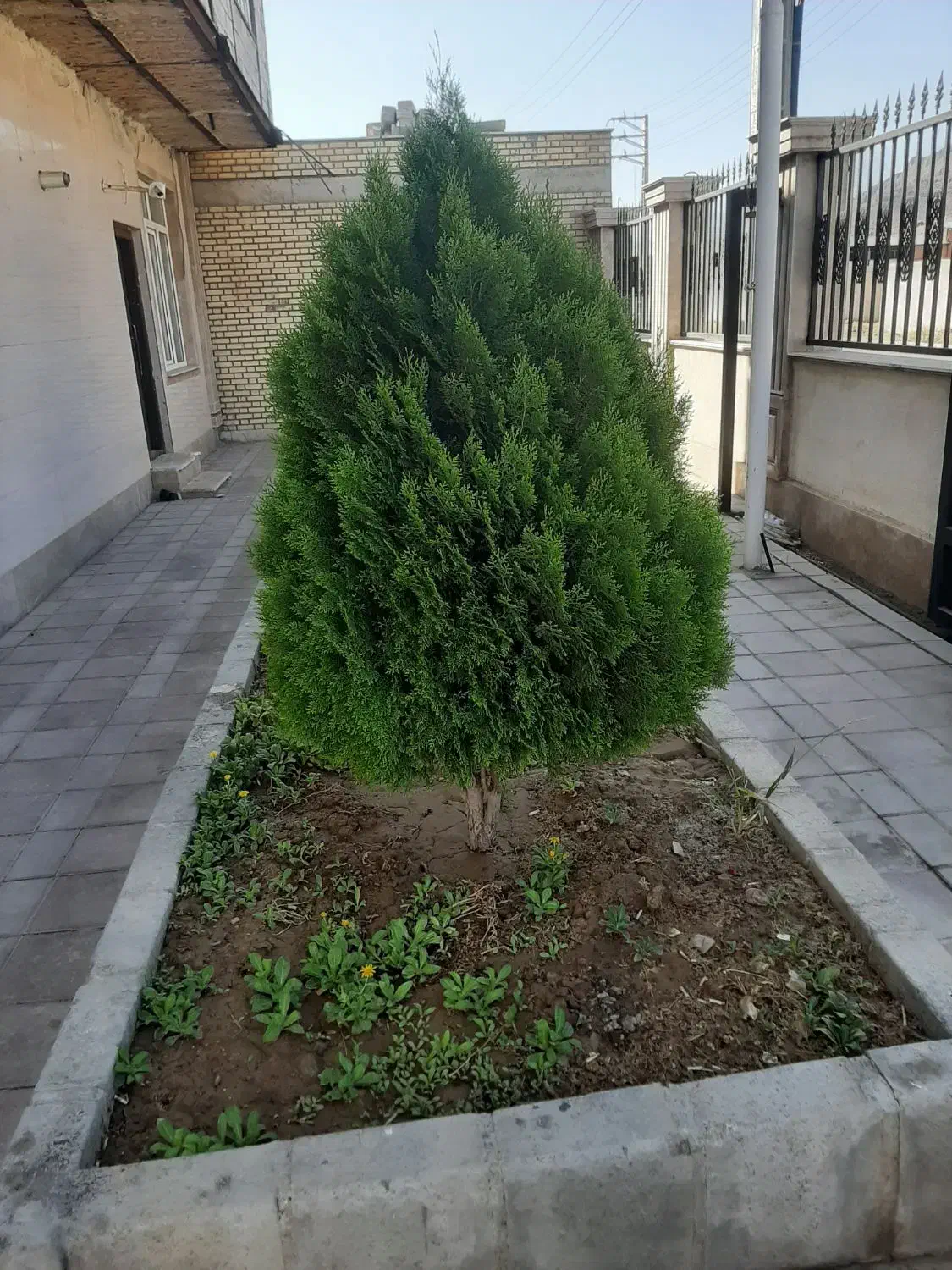 کارگر ساده|استخدام صنعتی، فنی، مهندسی|ارومیه, |دیوار