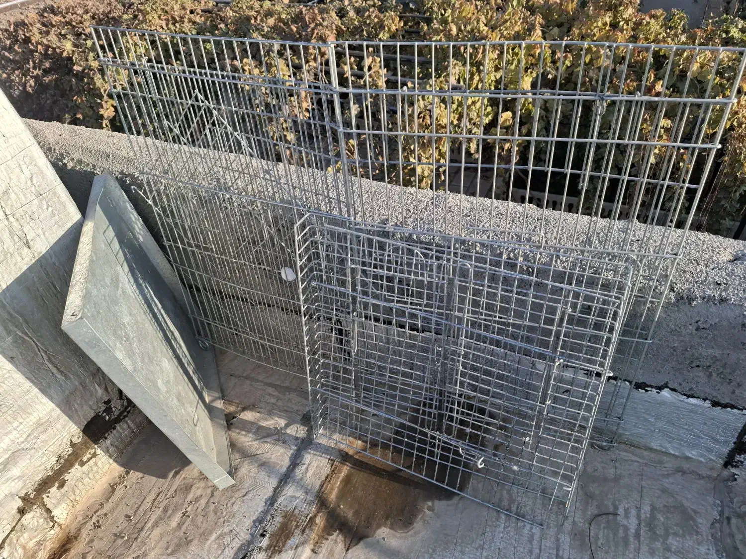 قفس کاسکو. ابعاد ۵۵/۵۵|لوازم جانبی حیوانات|شریفآباد, |دیوار