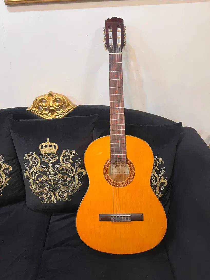 گیتار پرینس|گیتار، بیس، امپلیفایر|تهران, شهرک بوعلی|دیوار