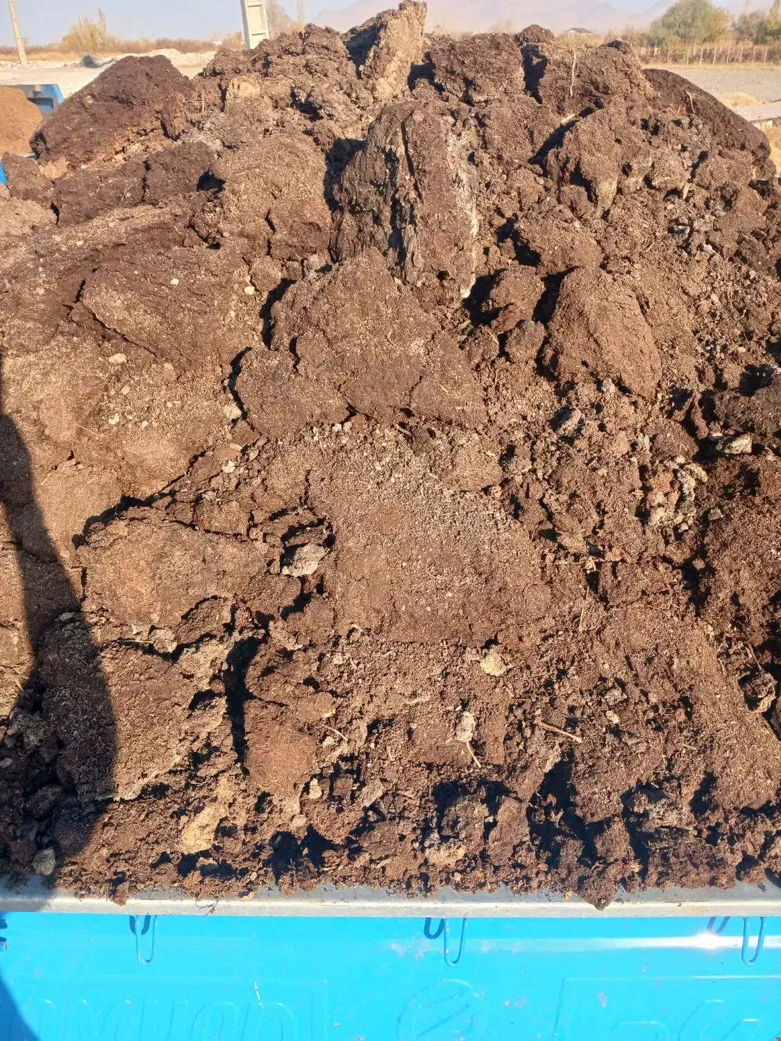 پهن گاو و گوسفند|خدمات باغبانی و درختکاری|ارومیه, |دیوار