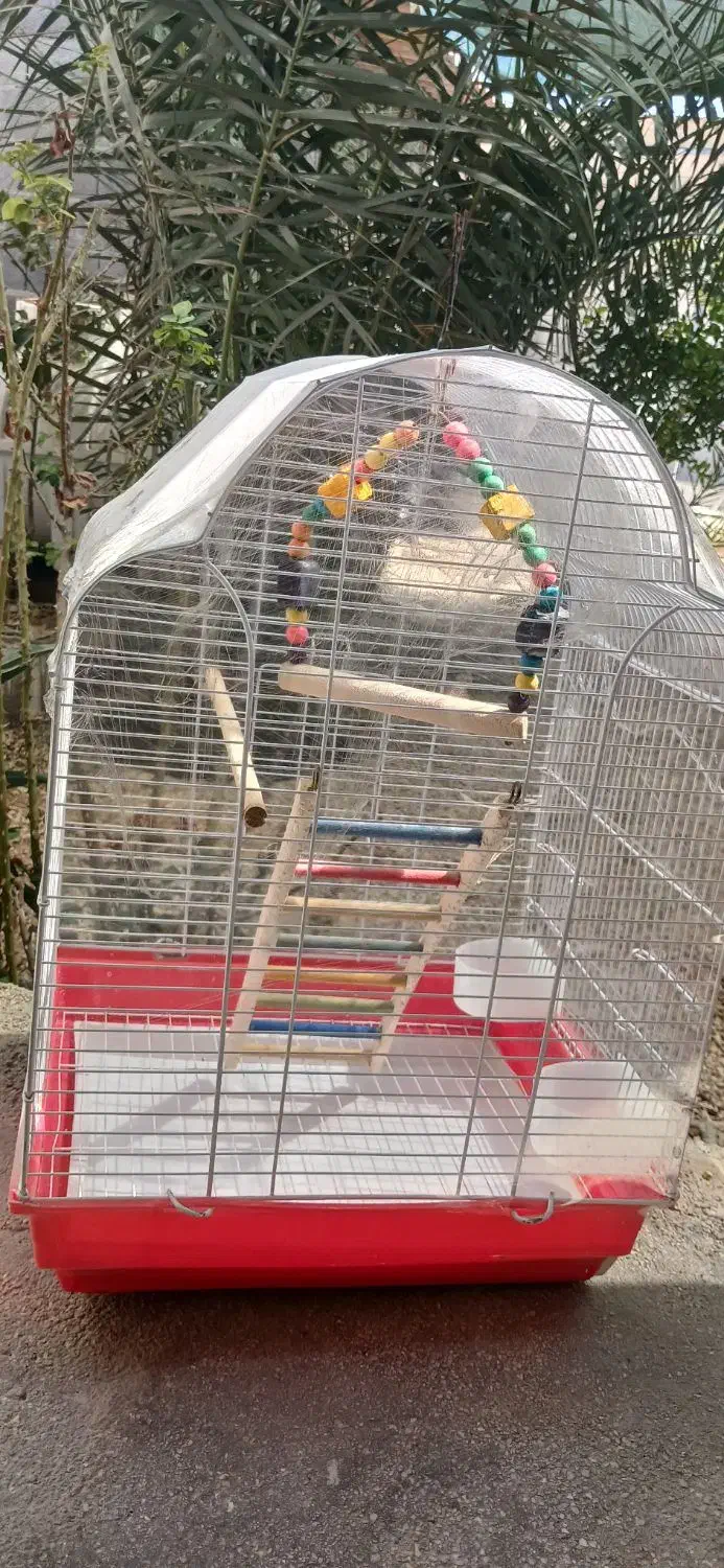 قفس پرنده|لوازم جانبی حیوانات|آبپخش, |دیوار